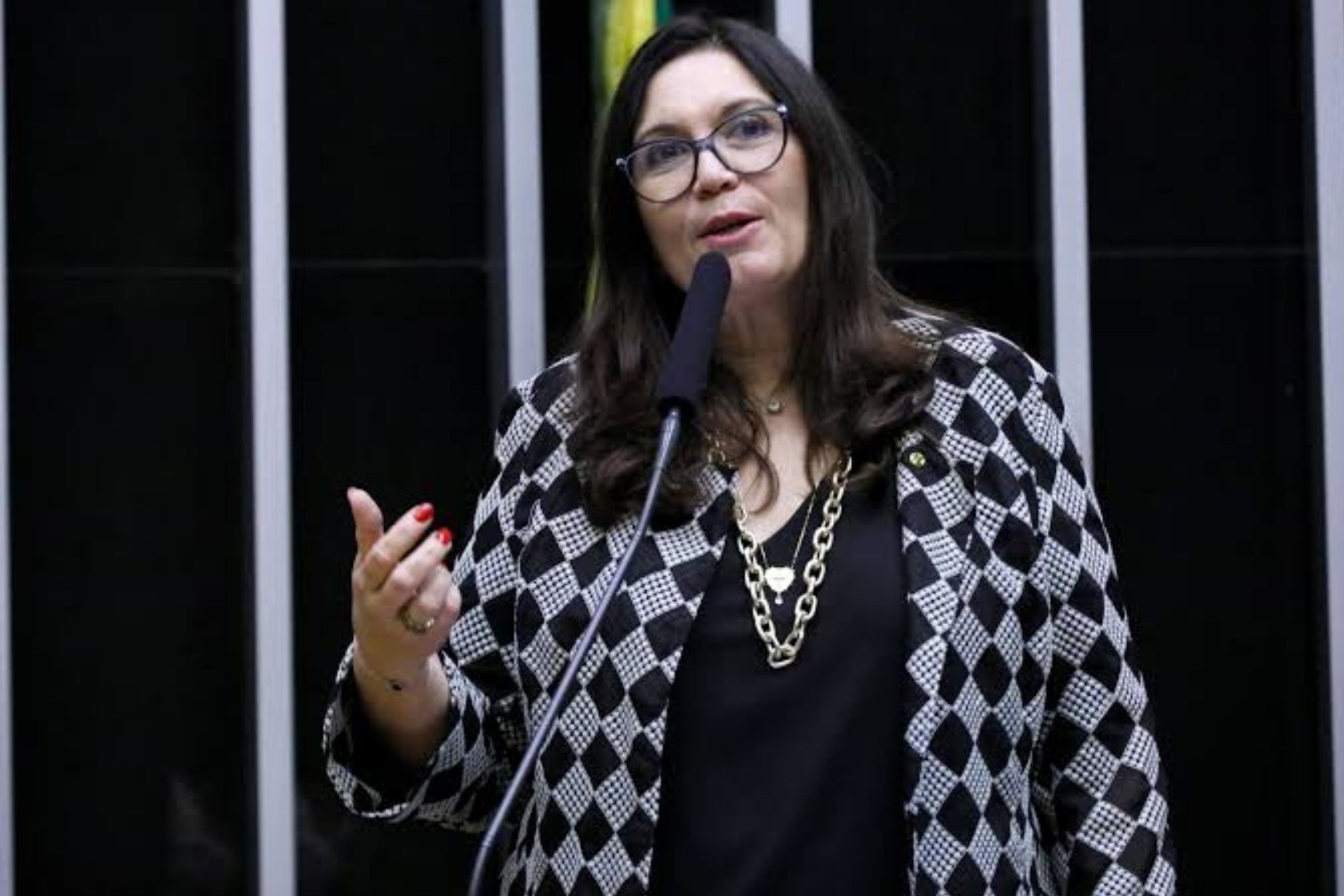 Convenção do PL-DF para anunciar candidaturas será em 5 de agosto  | Em Alta na Política - 