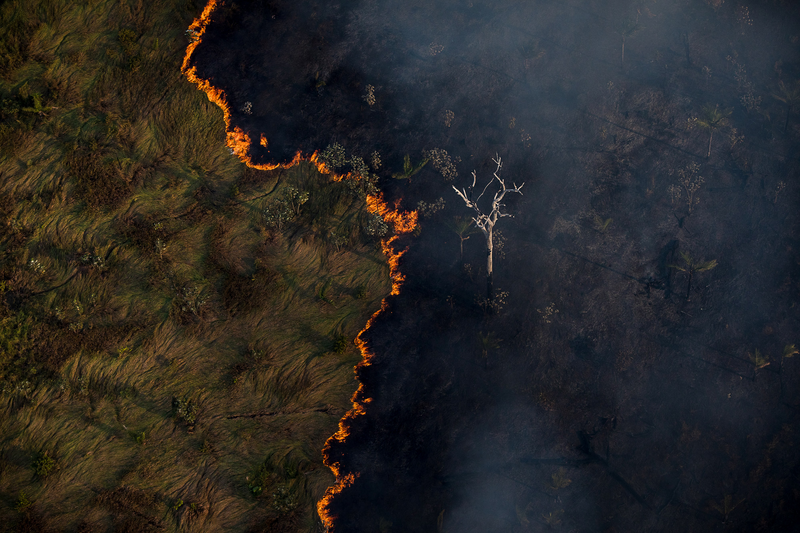 Brasil em chamas: ação intencional ou força da natureza?