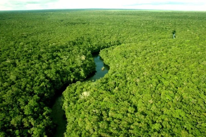 Eco Invest mobiliza R$ 13,2 bilhões para economia verde - 