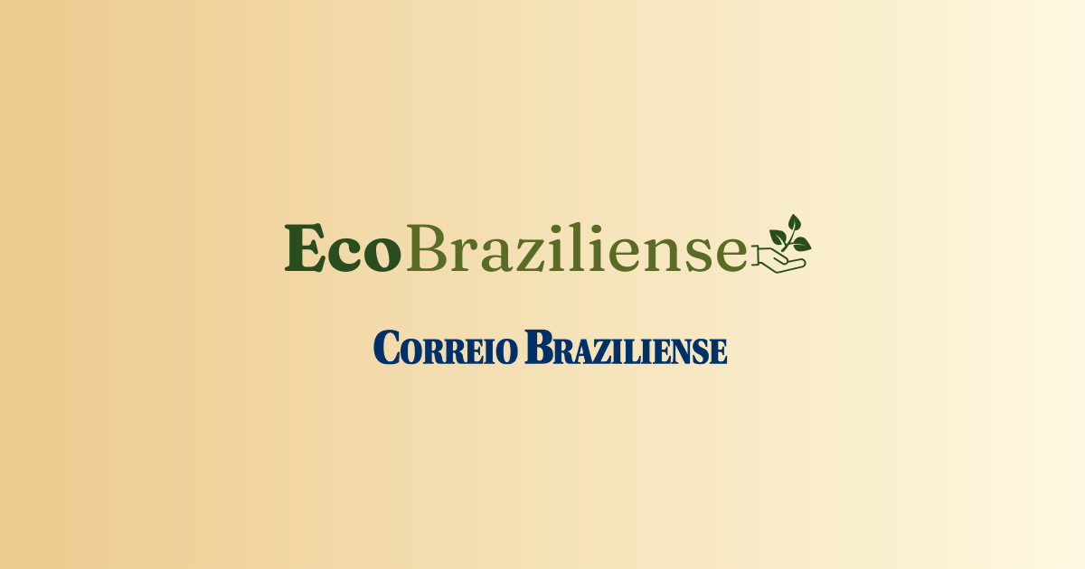 Caixa e Azul NeoCarbon firmam parceria no mercado de carbono | Eco Braziliense - 
