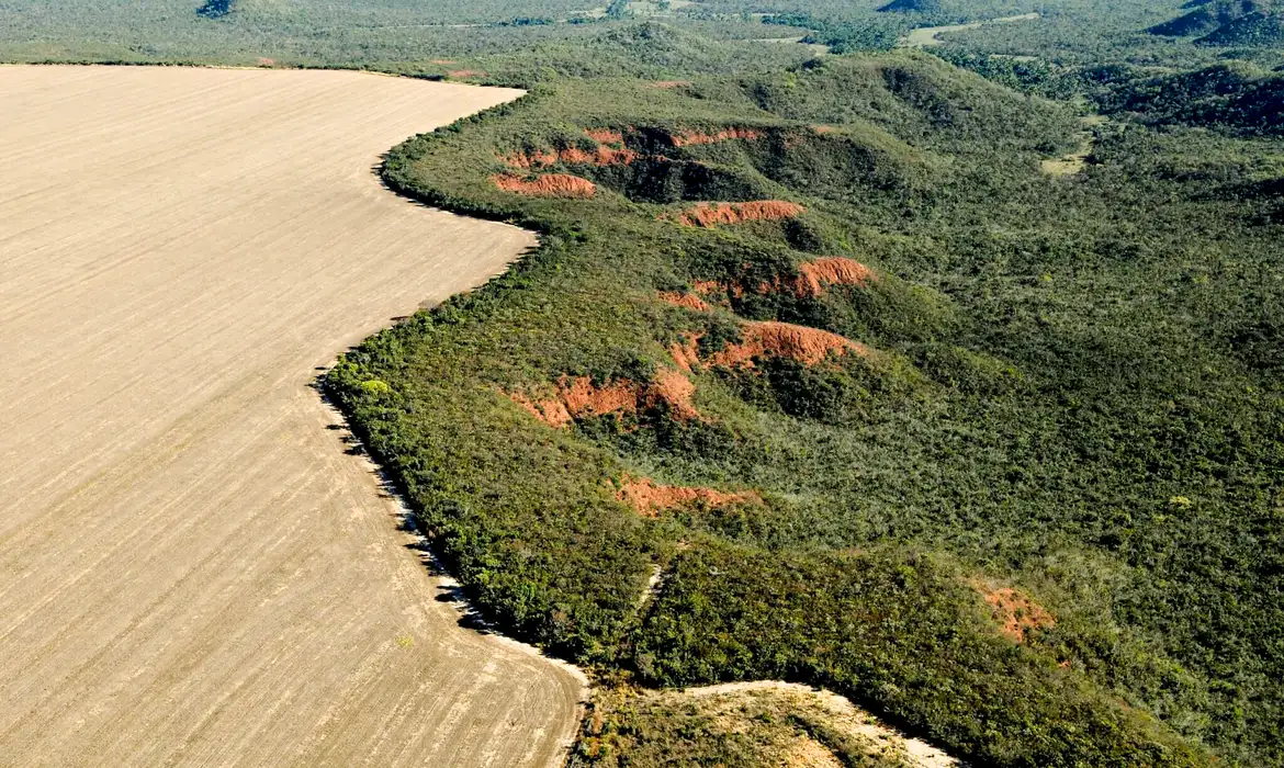 Área desmatada no Cerrado. Foto: Adriano Gambarini/ WWF Brasil/ Divulgação