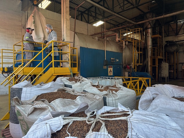 Caroço de açaí vira energia na fábrica da Coca-Cola em Belém