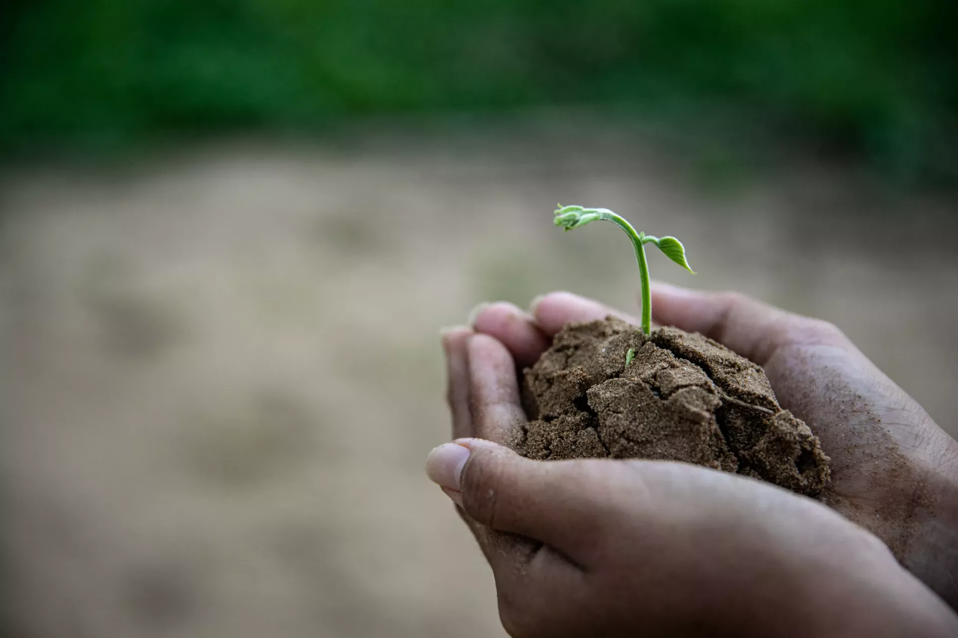 Cultura é aliada estratégica no combate às mudanças climáticas