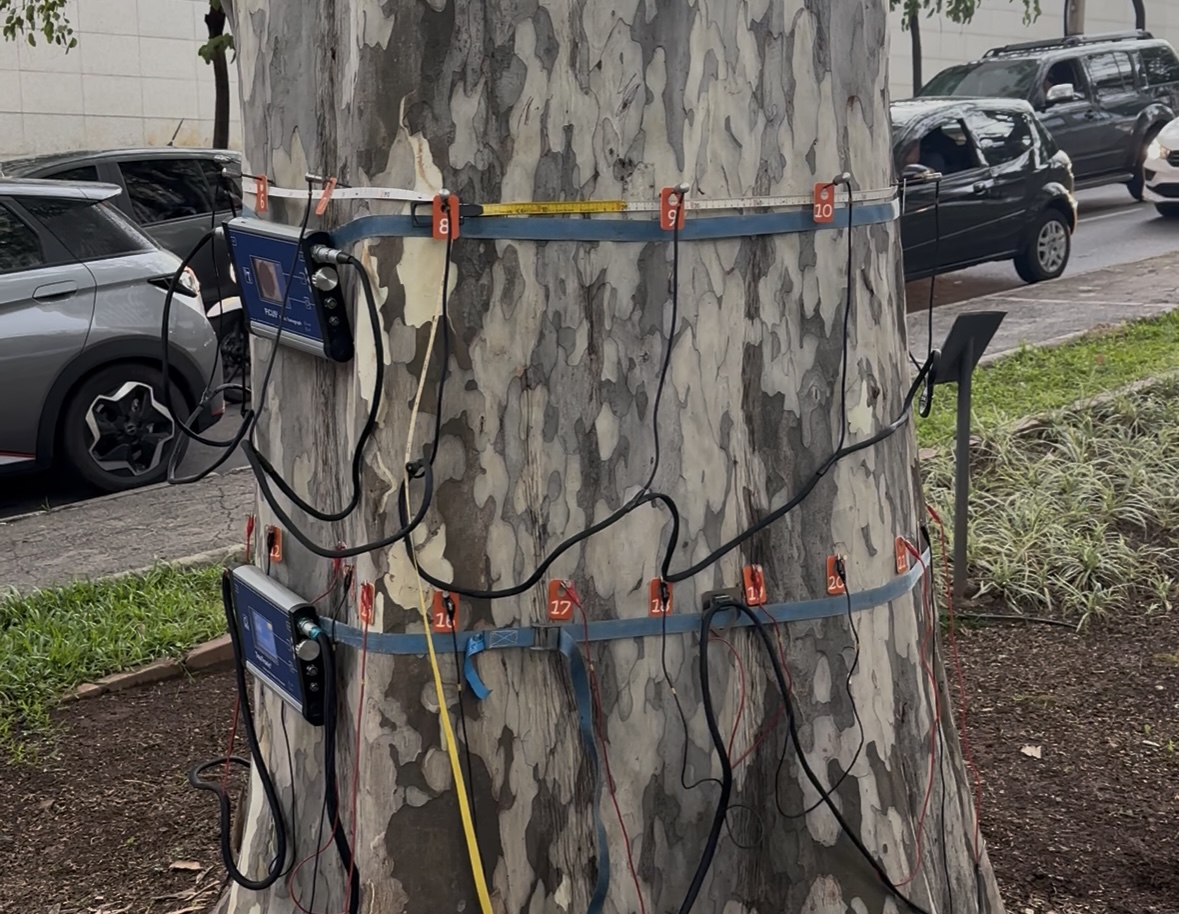 Poda preventiva reforça resiliência elétrica | Eco Braziliense - 