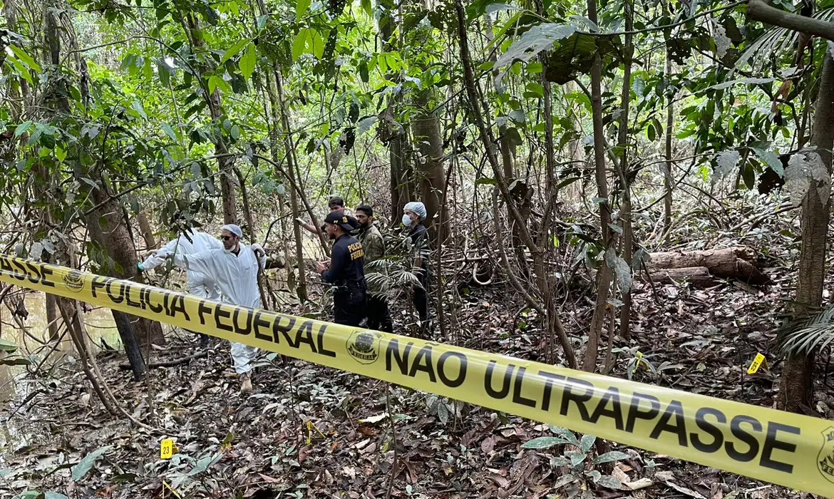 Crime organizado avança sobre a Amazônia | Eco Braziliense - 