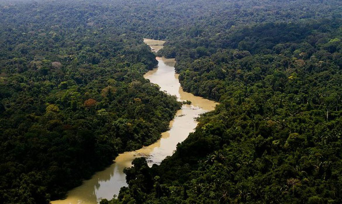 Observatório do Clima pede veto a PL do Jamanxim | Eco Braziliense - 