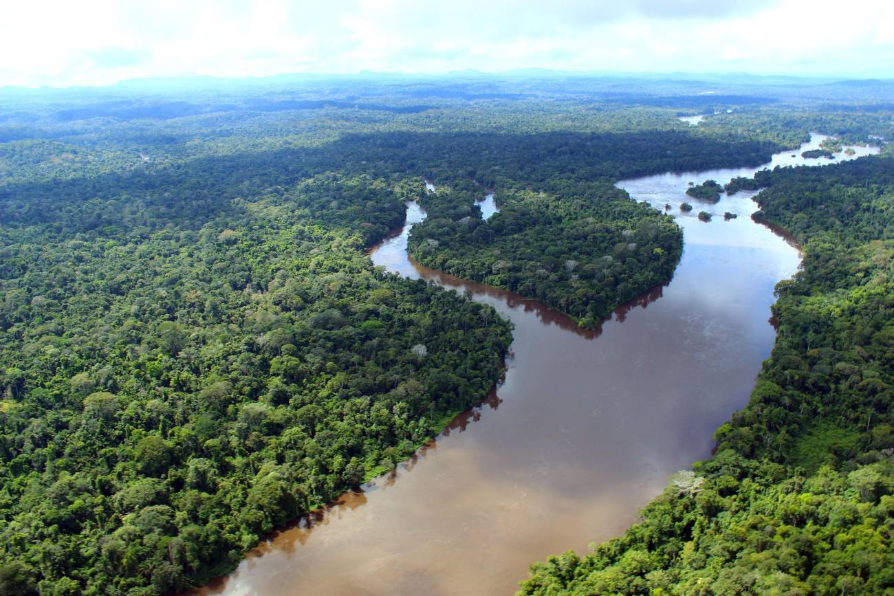 Pará reduz em 26% área sob alertas de desmatamento  - 