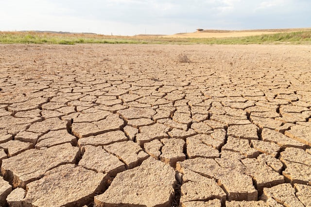 COP17: Brasil anuncia meta para recuperar áreas degradadas até 2030 | Eco Braziliense - 