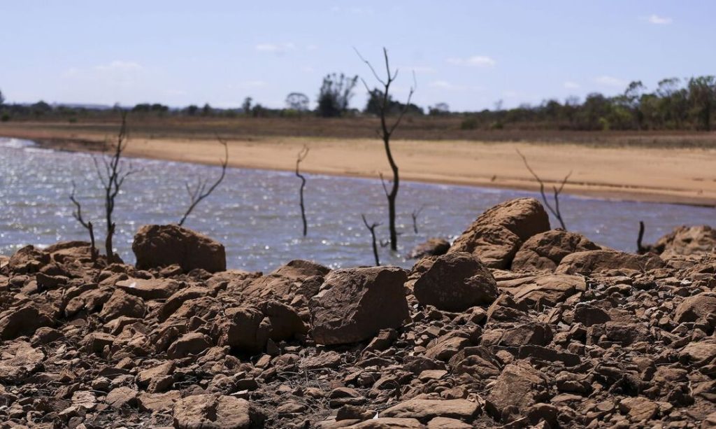 Brasil chega à COP da Desertificação sem metas - 