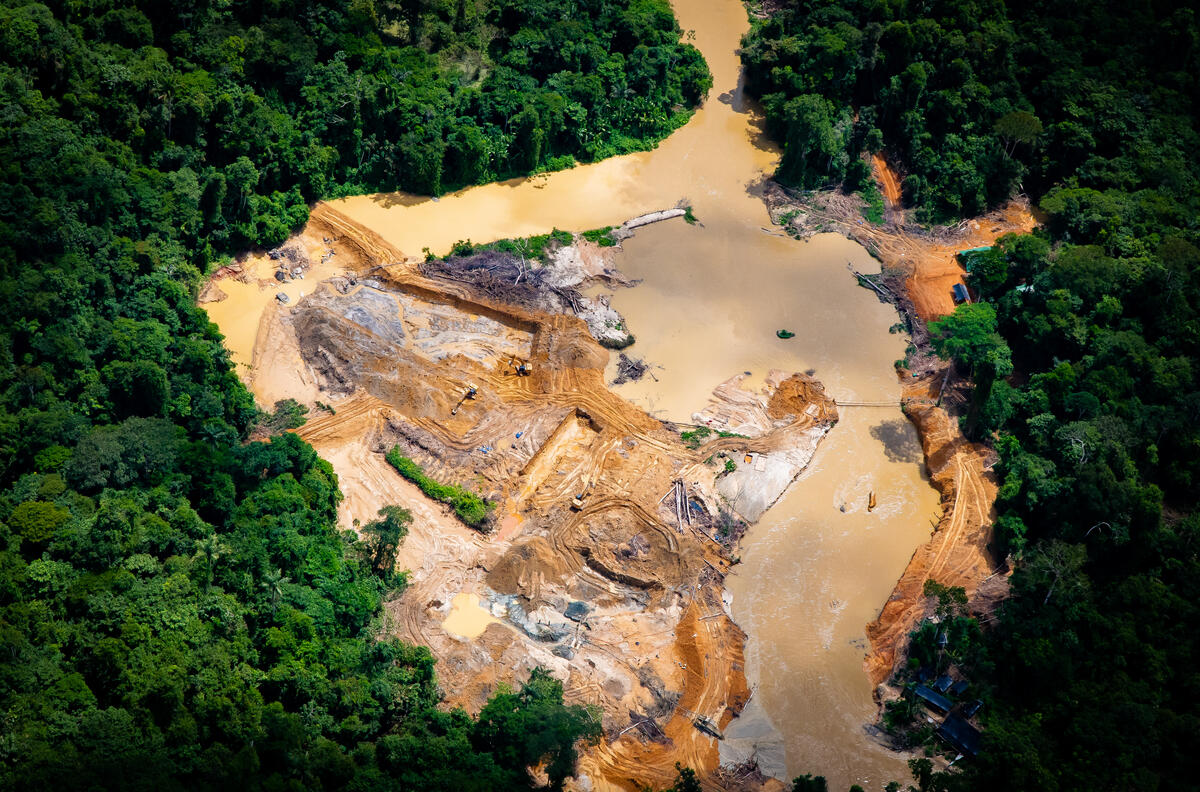 Terra Yanomami é alvo de esquema milionário de garimpo ilegal | Eco Braziliense - 