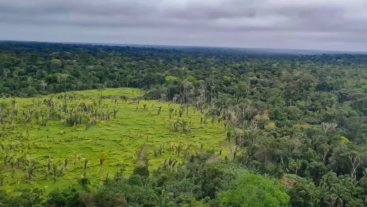 Desmatamento cai ao menor nível na Amazônia e no Cerrado, aponta Inpe | Eco Braziliense - 